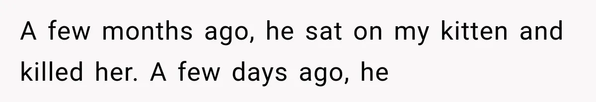 A few months ago, he sat on my kitten and killed her. A few days ago, he