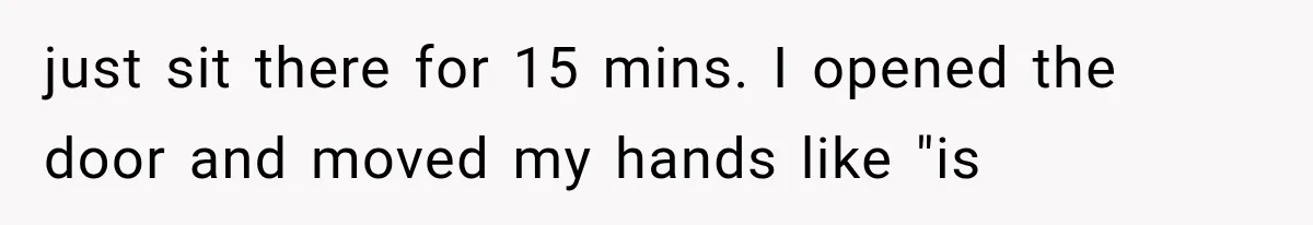 just sit there for 15 mins. I opened the door and moved my hands like "is
