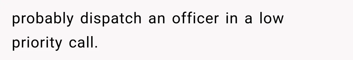 probably dispatch an officer in a low priority call.