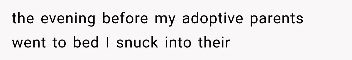 the evening before my adoptive parents went to bed I snuck into their