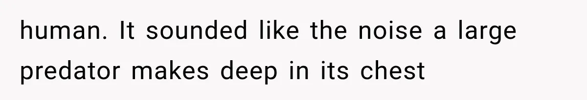 The New Forensic Doctor Thought the Morgue Had a Strange Janitor Until He Discovered What Happened After Midnight human. It sounded like the noise a large predator makes deep in its chest