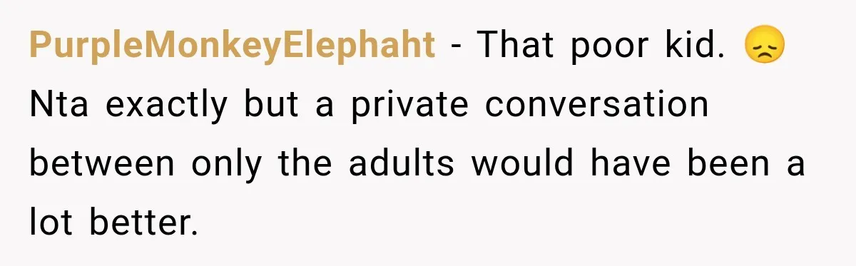 PurpleMonkeyElephaht − That poor kid. 😞 Nta exactly but a private conversation between only the adults would have been a lot better.