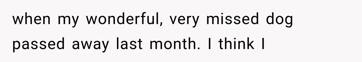 The New Forensic Doctor Thought the Morgue Had a Strange Janitor Until He Discovered What Happened After Midnight when my wonderful, very missed dog passed away last month. I think I