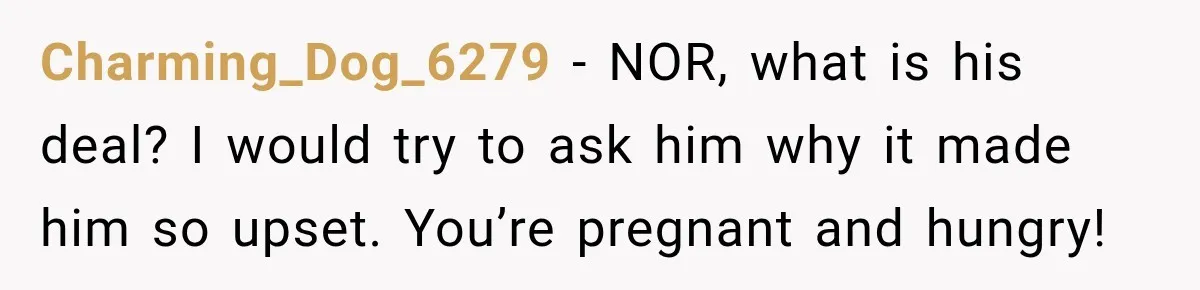 Charming_Dog_6279 − NOR, what is his deal? I would try to ask him why it made him so upset. You’re pregnant and hungry!