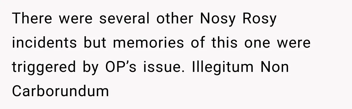 Couple Buys a Camper, Comes Home From Vacation, Then Gets a Visit From Police There were several other Nosy Rosy incidents but memories of this one were triggered by OP’s issue. Illegitum Non Carborundum