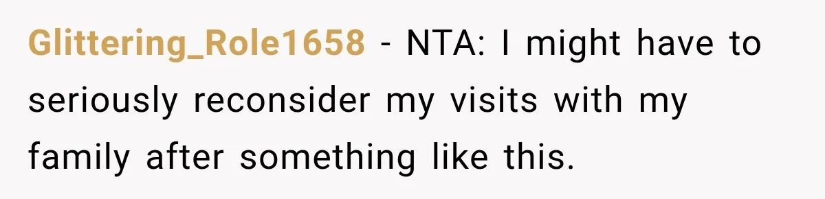 Glittering_Role1658 − NTA: I might have to seriously reconsider my visits with my family after something like this.