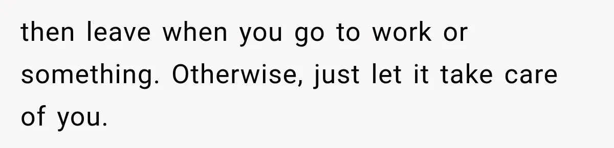 Man Thinks His Retired Dad Is Acting Younger Then Finds His Real Father Buried in the Basement then leave when you go to work or something. Otherwise, just let it take care of you.