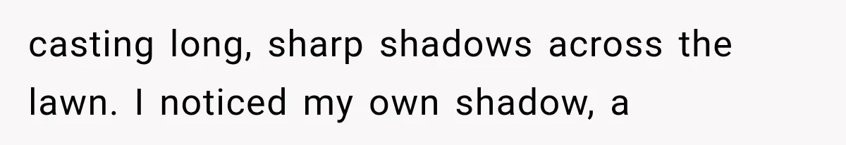 Man Thinks His Retired Dad Is Acting Younger Then Finds His Real Father Buried in the Basement casting long, sharp shadows across the lawn. I noticed my own shadow, a