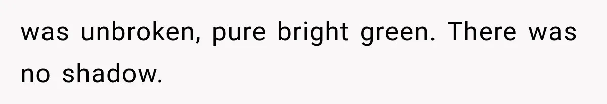 Man Thinks His Retired Dad Is Acting Younger Then Finds His Real Father Buried in the Basement was unbroken, pure bright green. There was no shadow.
