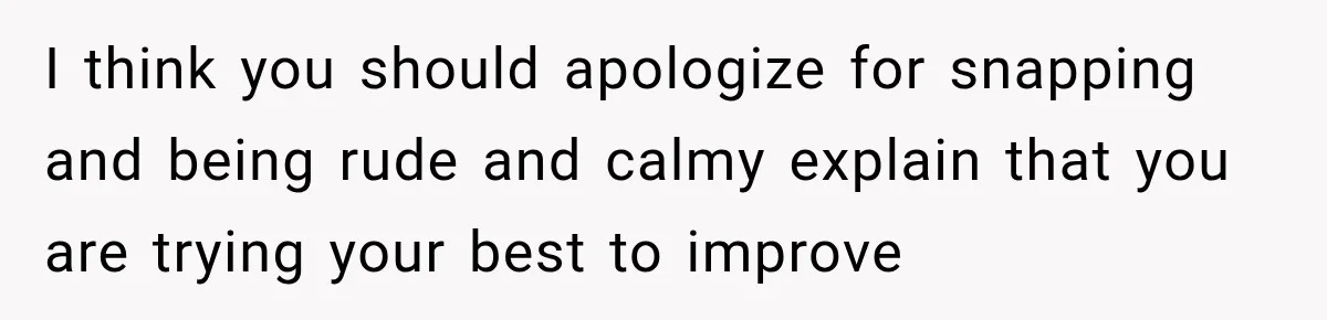 I think you should apologize for snapping and being rude and calmy explain that you are trying your best to improve