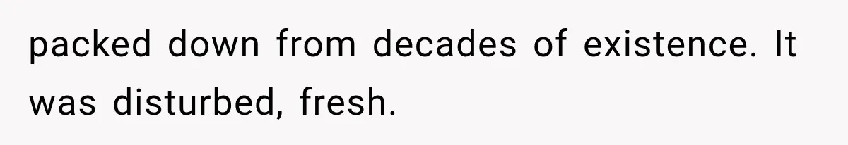 Man Thinks His Retired Dad Is Acting Younger Then Finds His Real Father Buried in the Basement packed down from decades of existence. It was disturbed, fresh.
