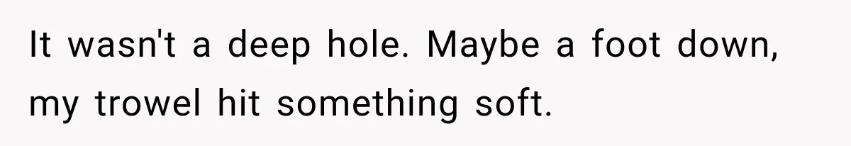 Man Thinks His Retired Dad Is Acting Younger Then Finds His Real Father Buried in the Basement It wasn't a deep hole. Maybe a foot down, my trowel hit something soft.