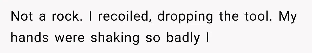 Man Thinks His Retired Dad Is Acting Younger Then Finds His Real Father Buried in the Basement Not a rock. I recoiled, dropping the tool. My hands were shaking so badly I
