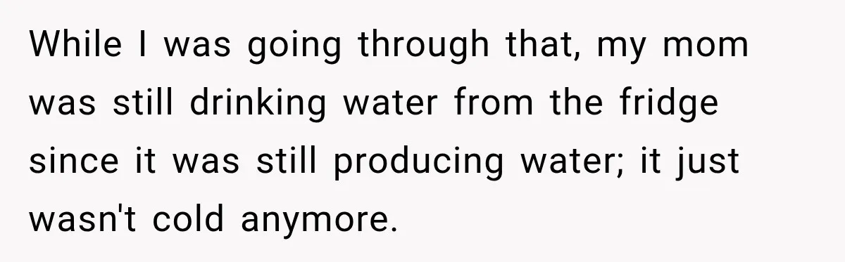 While I was going through that, my mom was still drinking water from the fridge since it was still producing water; it just wasn't cold anymore.