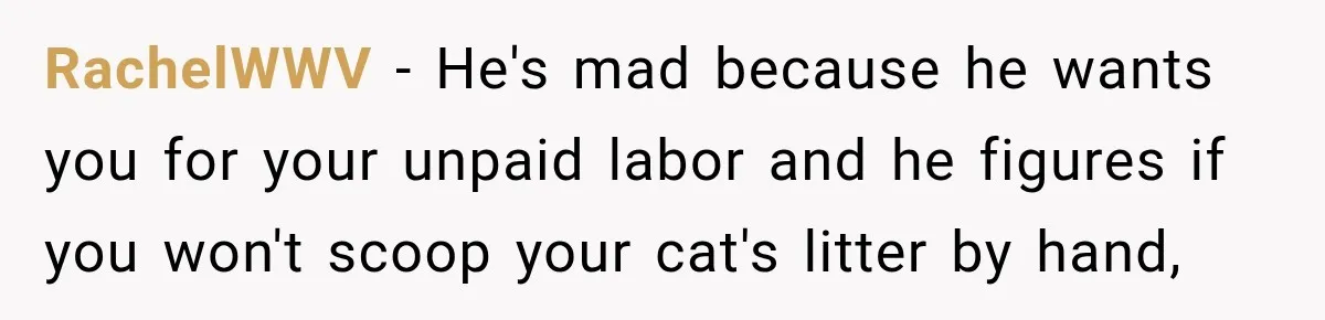 RachelWWV − He's mad because he wants you for your unpaid labor and he figures if you won't scoop your cat's litter by hand,