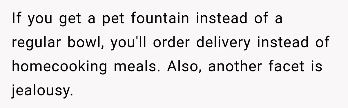 If you get a pet fountain instead of a regular bowl, you'll order delivery instead of homecooking meals. Also, another facet is jealousy.