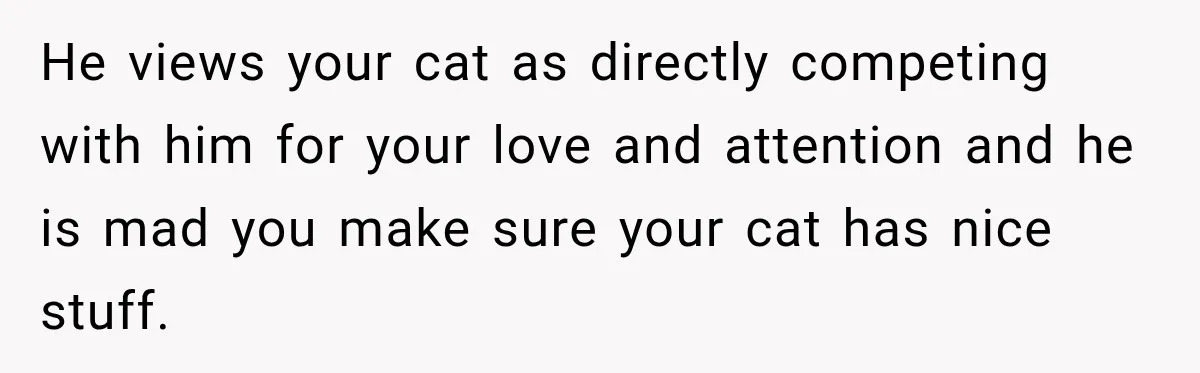 He views your cat as directly competing with him for your love and attention and he is mad you make sure your cat has nice stuff.