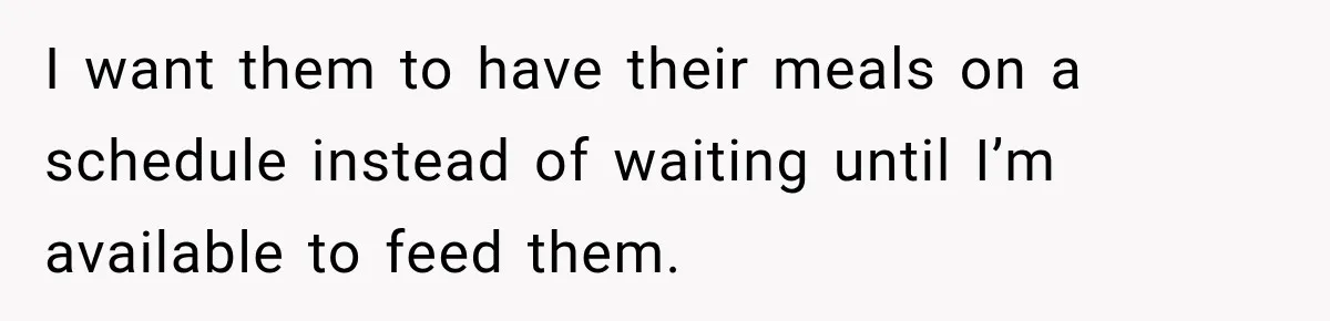 I want them to have their meals on a schedule instead of waiting until I’m available to feed them.