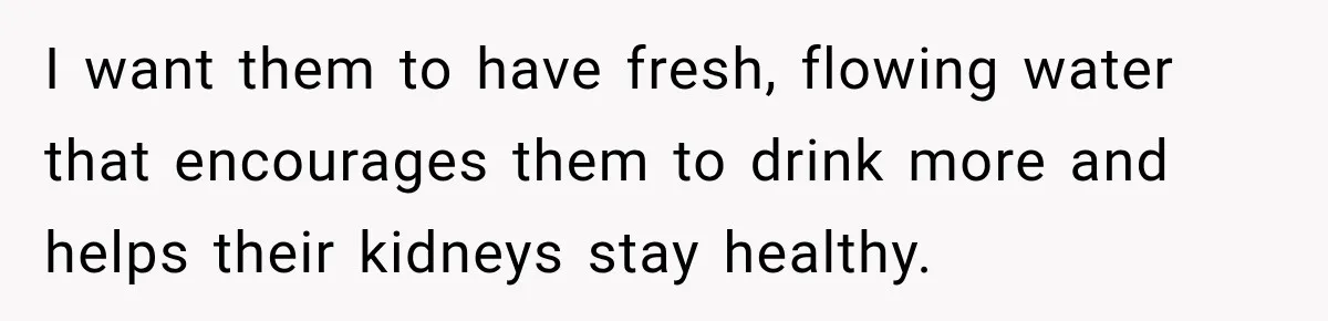 I want them to have fresh, flowing water that encourages them to drink more and helps their kidneys stay healthy.