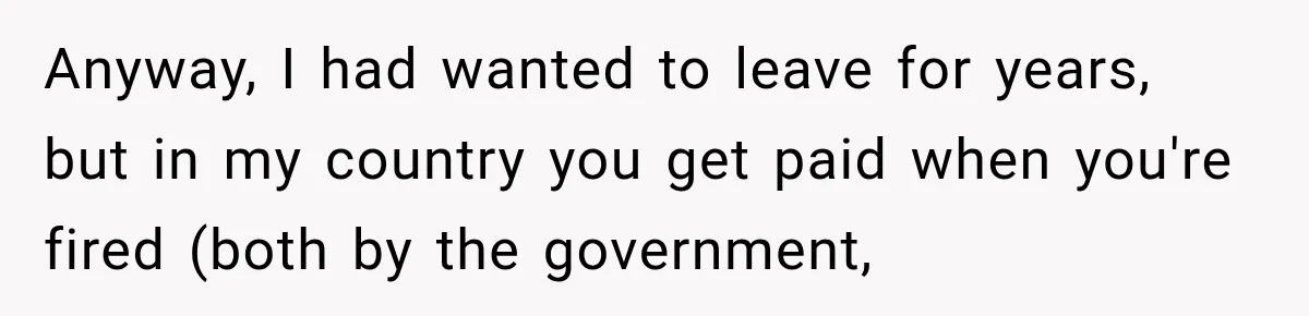 Anyway, I had wanted to leave for years, but in my country you get paid when you're fired (both by the government,