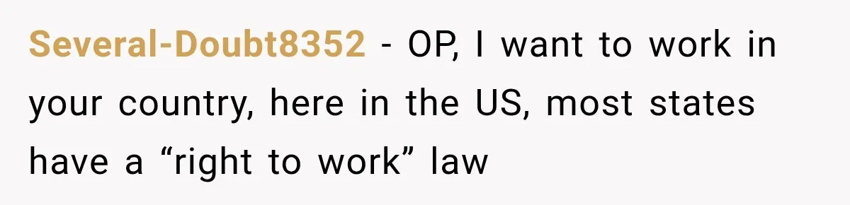 Several-Doubt8352 − OP, I want to work in your country, here in the US, most states have a “right to work” law