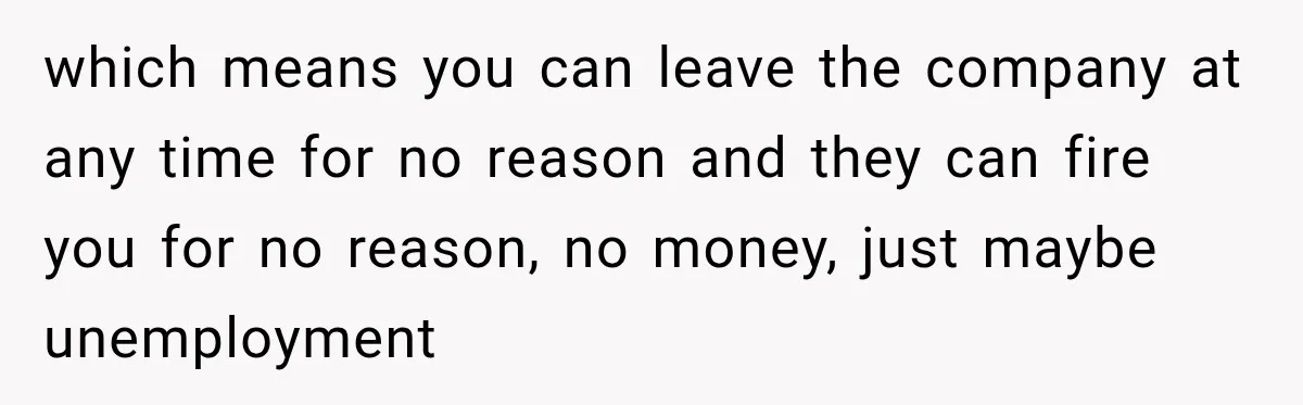 which means you can leave the company at any time for no reason and they can fire you for no reason, no money, just maybe unemployment