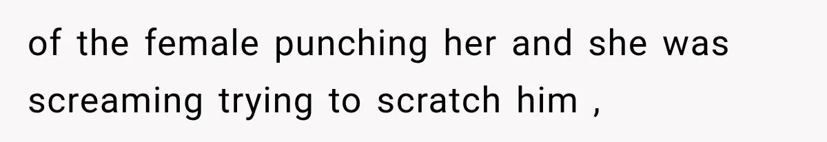 of the female punching her and she was screaming trying to scratch him ,