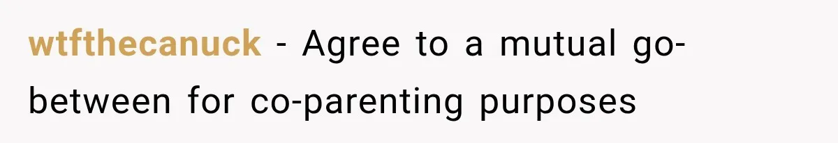 wtfthecanuck − Agree to a mutual go-between for co-parenting purposes