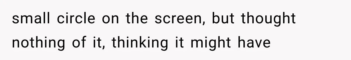 small circle on the screen, but thought nothing of it, thinking it might have