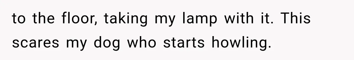 A Woman’s Voice Came From Downstairs After I Locked the House, I Wasn’t Prepared for What I Found to the floor, taking my lamp with it. This scares my dog who starts howling.