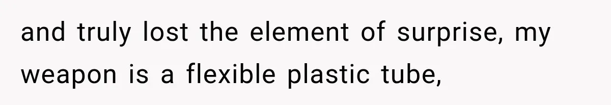 A Woman’s Voice Came From Downstairs After I Locked the House, I Wasn’t Prepared for What I Found and truly lost the element of surprise, my weapon is a flexible plastic tube,