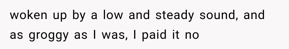 A Woman’s Voice Came From Downstairs After I Locked the House, I Wasn’t Prepared for What I Found woken up by a low and steady sound, and as groggy as I was, I paid it no