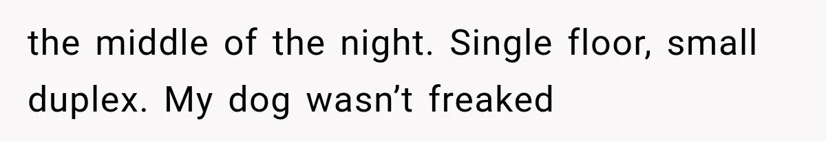 A Woman’s Voice Came From Downstairs After I Locked the House, I Wasn’t Prepared for What I Found the middle of the night. Single floor, small duplex. My dog wasn’t freaked