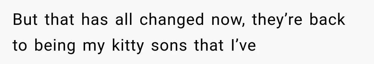 Mother Feared She Stopped Loving Her First Child After Baby Arrived, Then Learned the Truth But that has all changed now, they’re back to being my kitty sons that I’ve