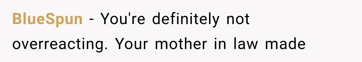 BlueSpun − You're definitely not overreacting. Your mother in law made