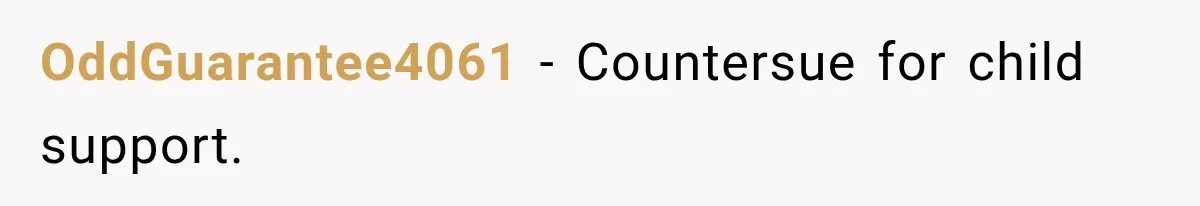 OddGuarantee4061 − Countersue for child support.