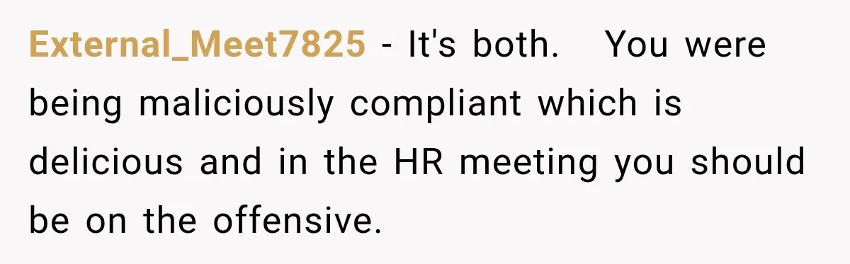 External_Meet7825 − It's both.   You were being maliciously compliant which is delicious and in the HR meeting you should be on the offensive.