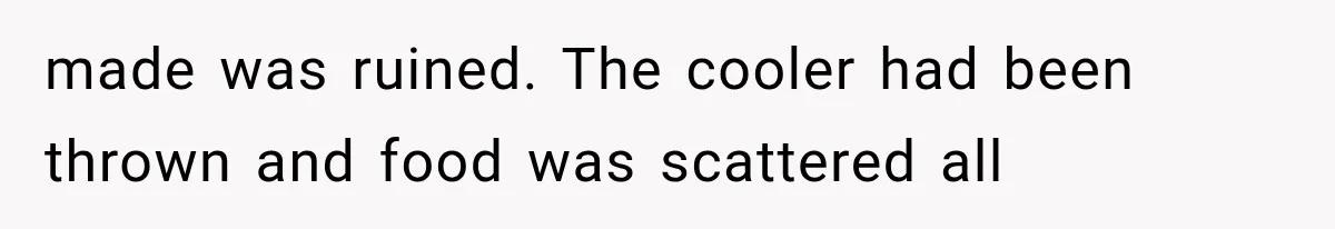 made was ruined. The cooler had been thrown and food was scattered all