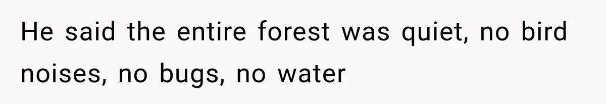 He said the entire forest was quiet, no bird noises, no bugs, no water