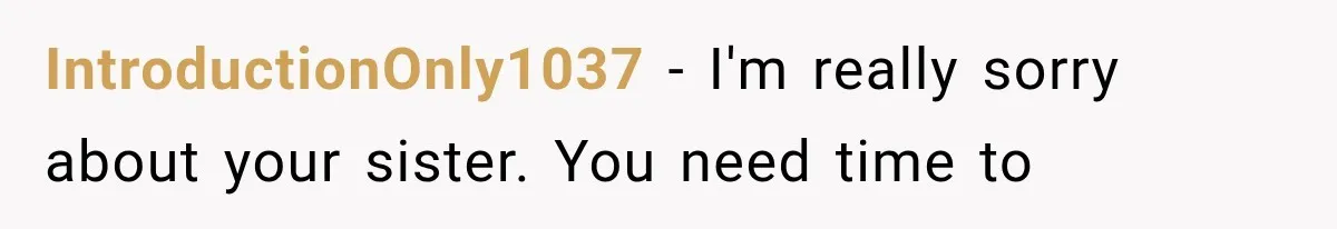 IntroductionOnly1037 − I'm really sorry about your sister. You need time to