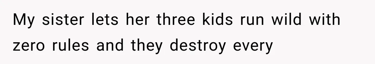 My sister lets her three kids run wild with zero rules and they destroy every