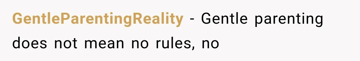 GentleParentingReality − Gentle parenting does not mean no rules, no