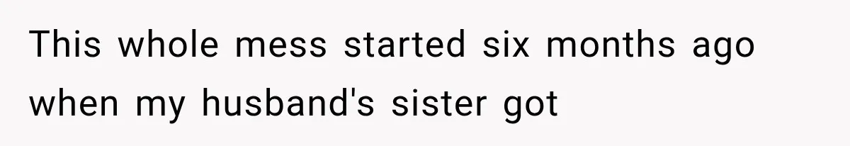 This whole mess started six months ago when my husband's sister got