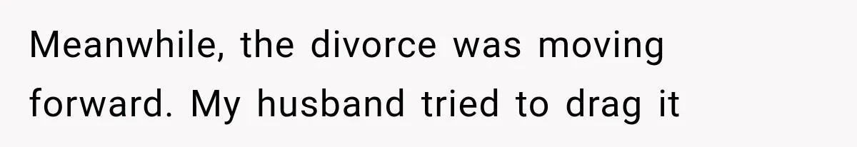 Meanwhile, the divorce was moving forward. My husband tried to drag it