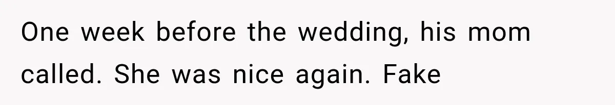One week before the wedding, his mom called. She was nice again. Fake