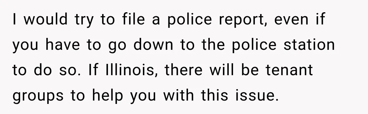 I would try to file a police report, even if you have to go down to the police station to do so. If Illinois, there will be tenant groups to...