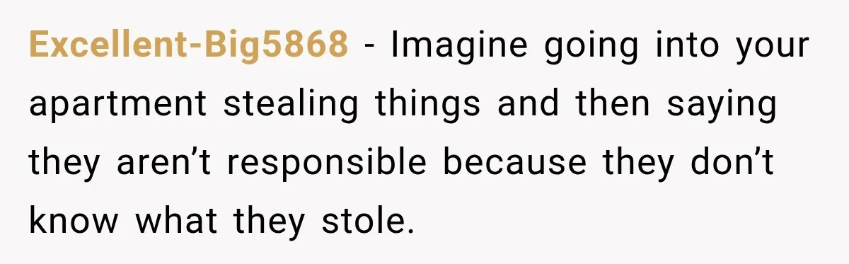 Excellent-Big5868 − Imagine going into your apartment stealing things and then saying they aren’t responsible because they don’t know what they stole.