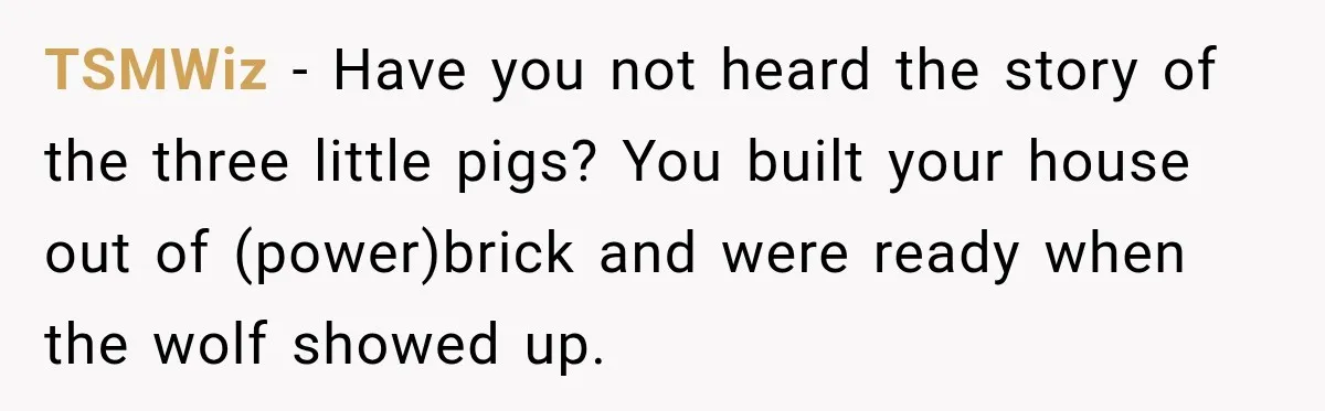 TSMWiz − Have you not heard the story of the three little pigs? You built your house out of (power)brick and were ready when the wolf showed up.