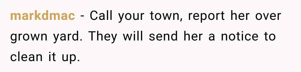 markdmac − Call your town, report her over grown yard. They will send her a notice to clean it up.