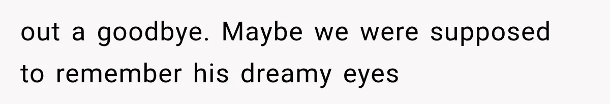 out a goodbye. Maybe we were supposed to remember his dreamy eyes